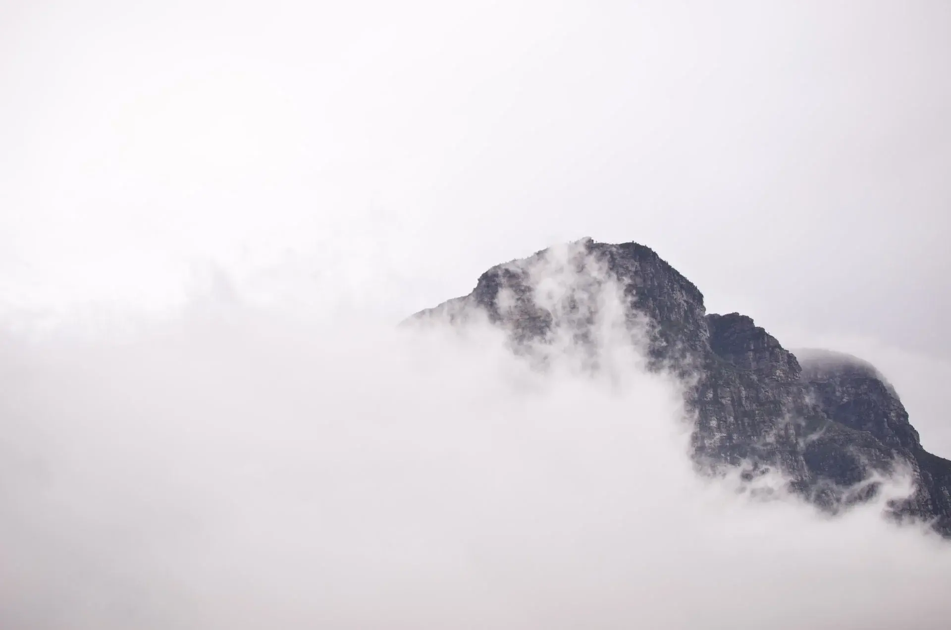 paula-vermeulen-_f2m3mEkaaU-unsplash